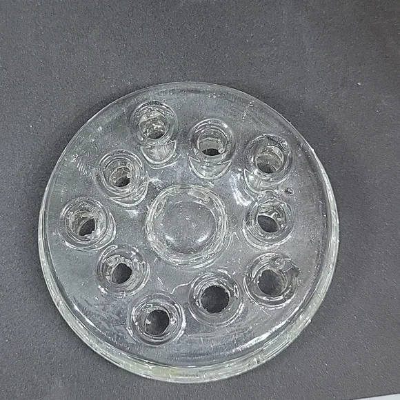 Frog - Picture 5 of 5